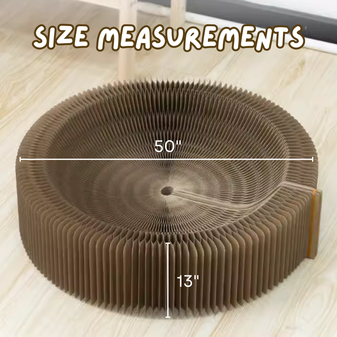 Magical Scratcher Bed
