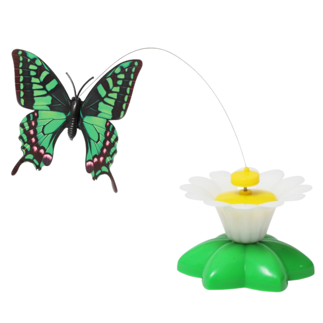 Buzzing Bird Toy