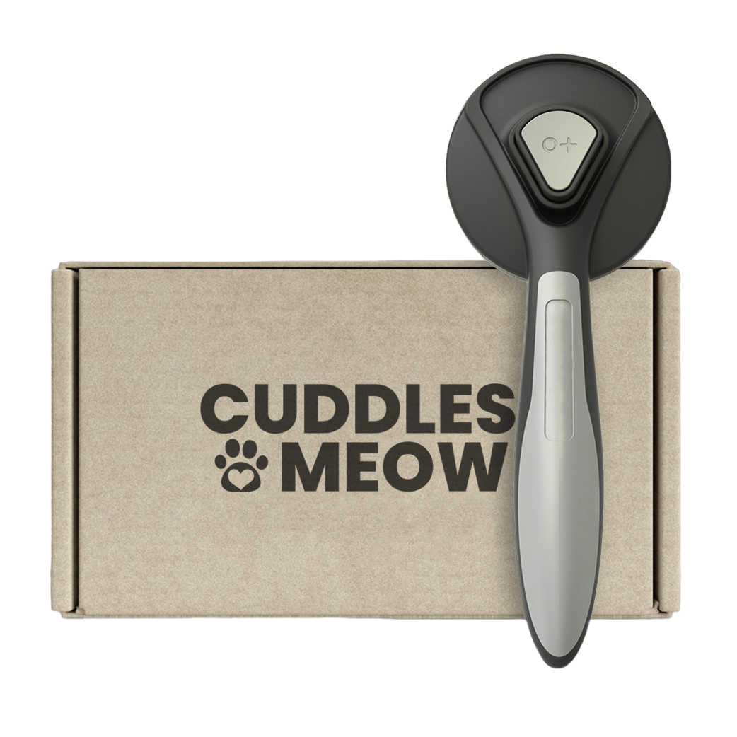 Furry Brush