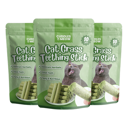 Cat Grass Teething Stick