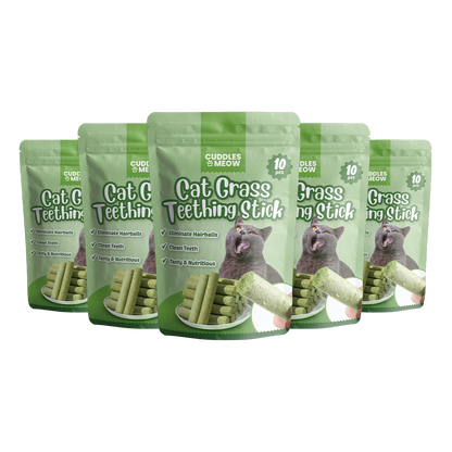 Cat Grass Teething Stick