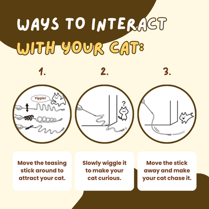 Colorful Ribbon Teaser