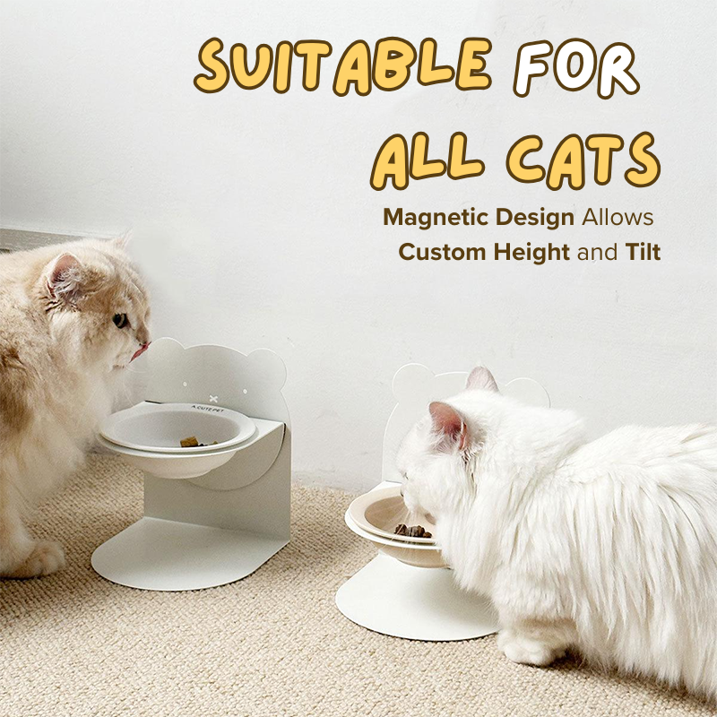 Magnetic Ceramic Bowl