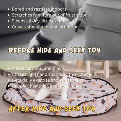 Hide and Seek Toy