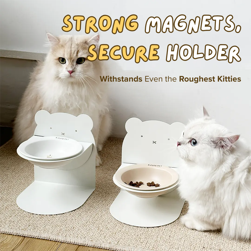 Magnetic Ceramic Bowl