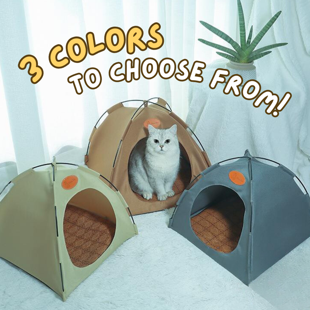 Cat Tent