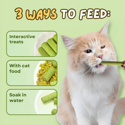 Cat Grass Teething Stick