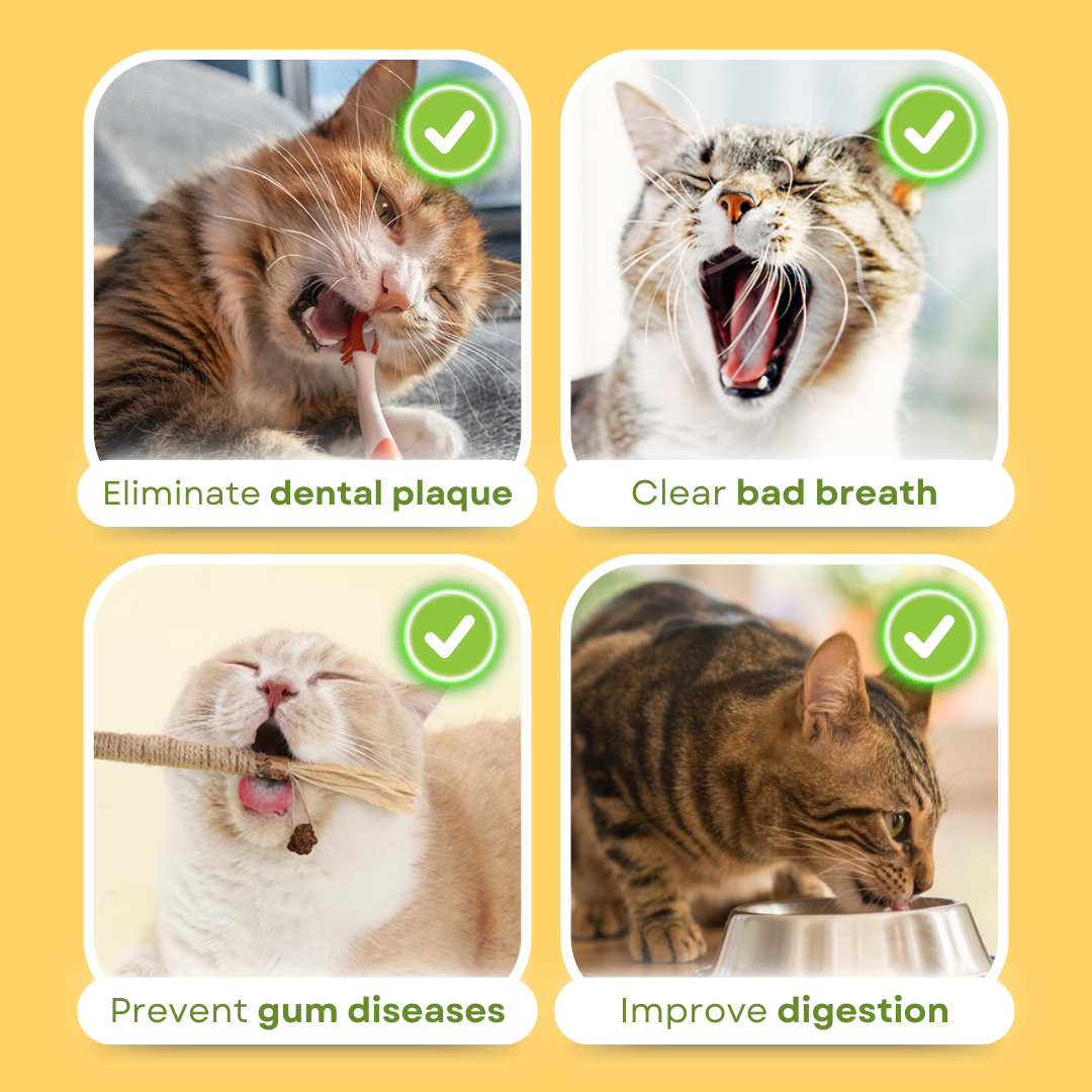 All Natural Teething Toy (3 Pcs)