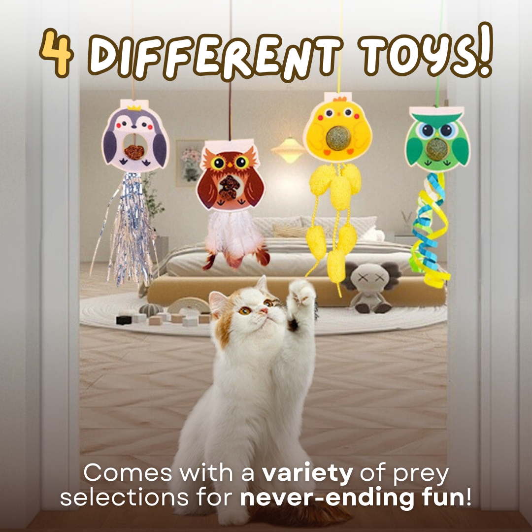 Dangling Catnip Toy (Set of 4)