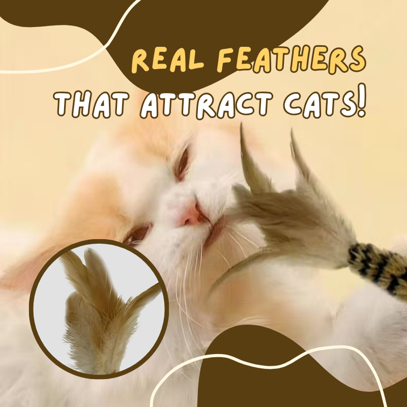 Feather Teasing Cat Stick
