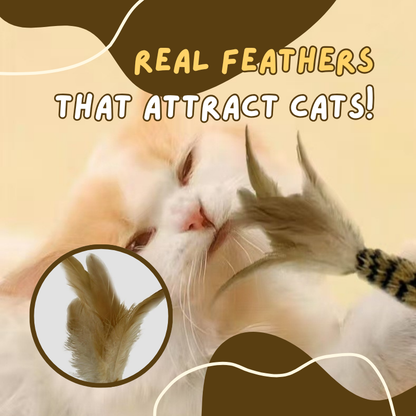 Feather Teasing Cat Stick