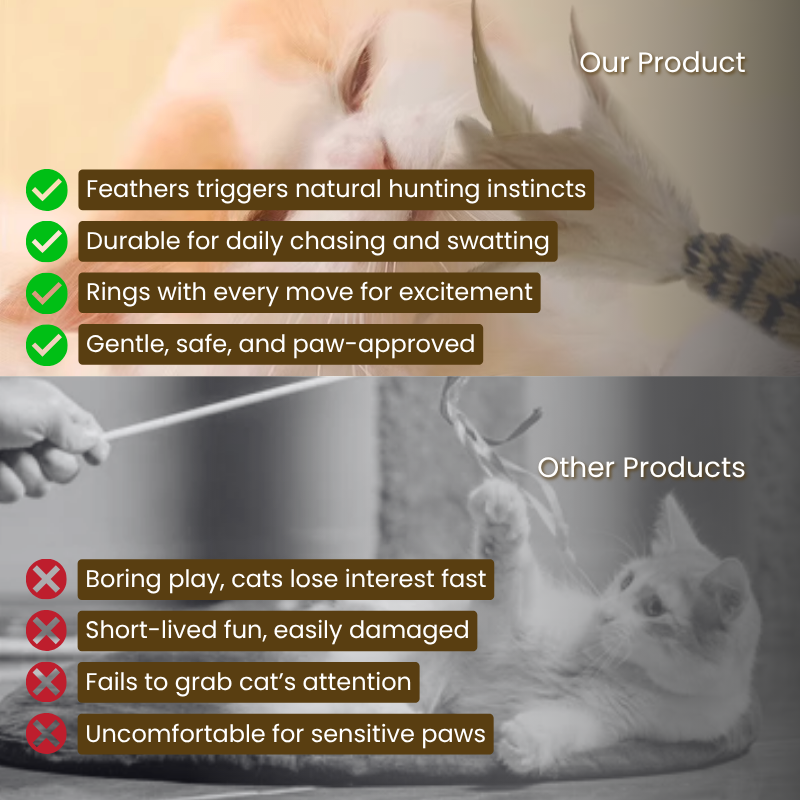 Feather Teasing Cat Stick