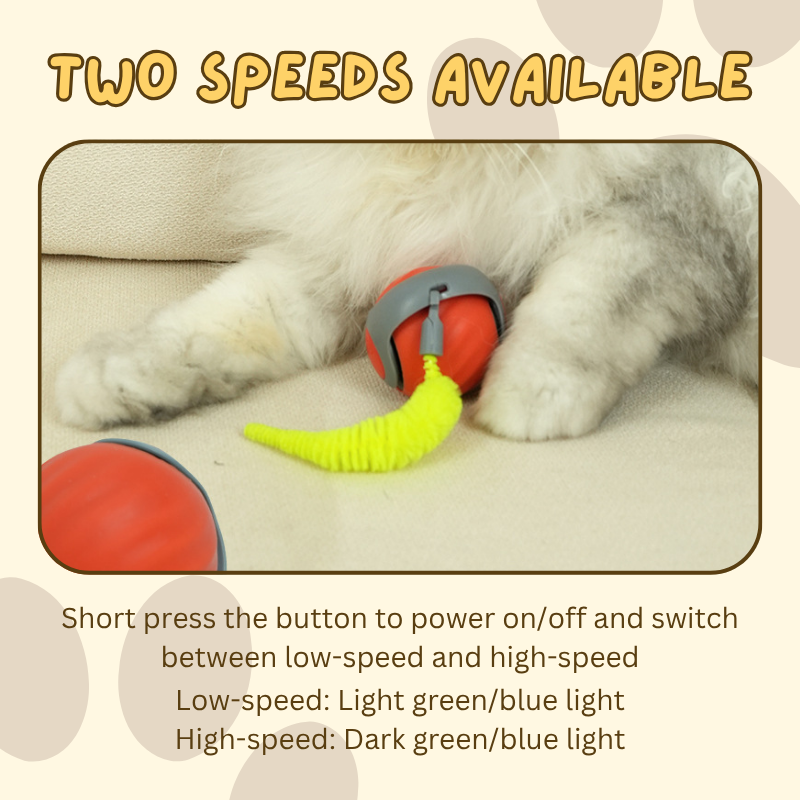 Speedy Tail Toy