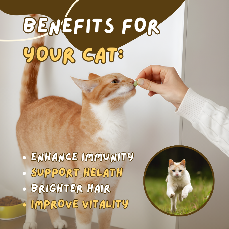 Hairball Relief Tablets