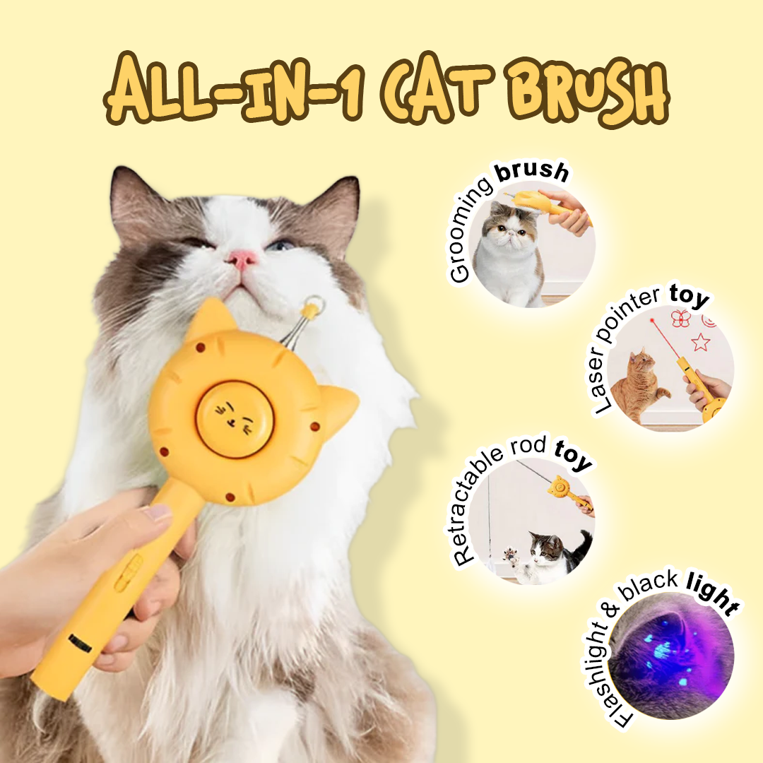 New Cat Owner Bundle