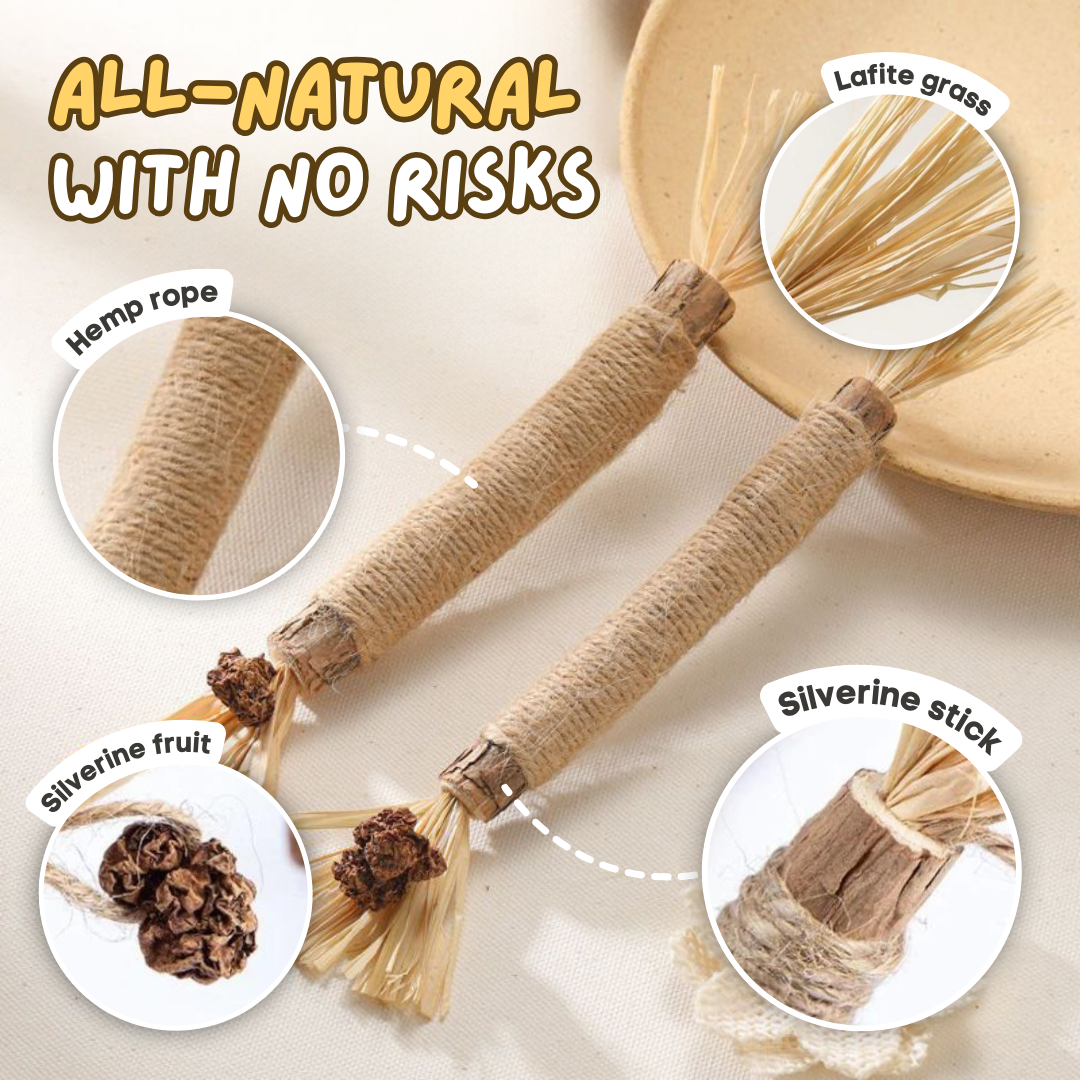 All Natural Teething Toy (3 Pcs)