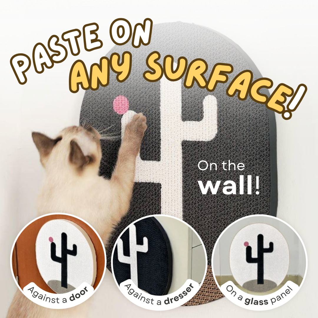 Cactus Wall Scratcher