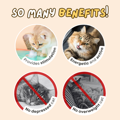 Smart Peek-A-Boo Toy