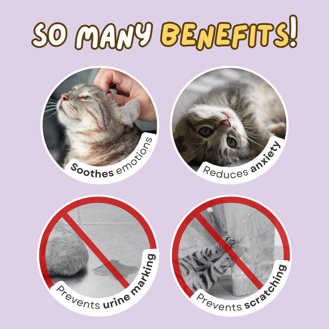 Cat Calming Pheromone