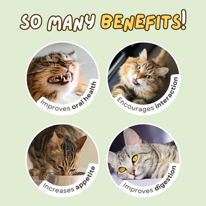 Stick-on Catnip Station