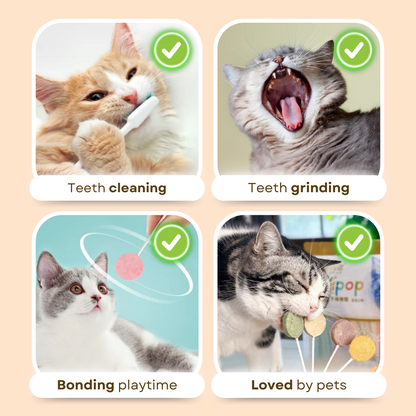 Lollipop Cat Treat (25 pcs)