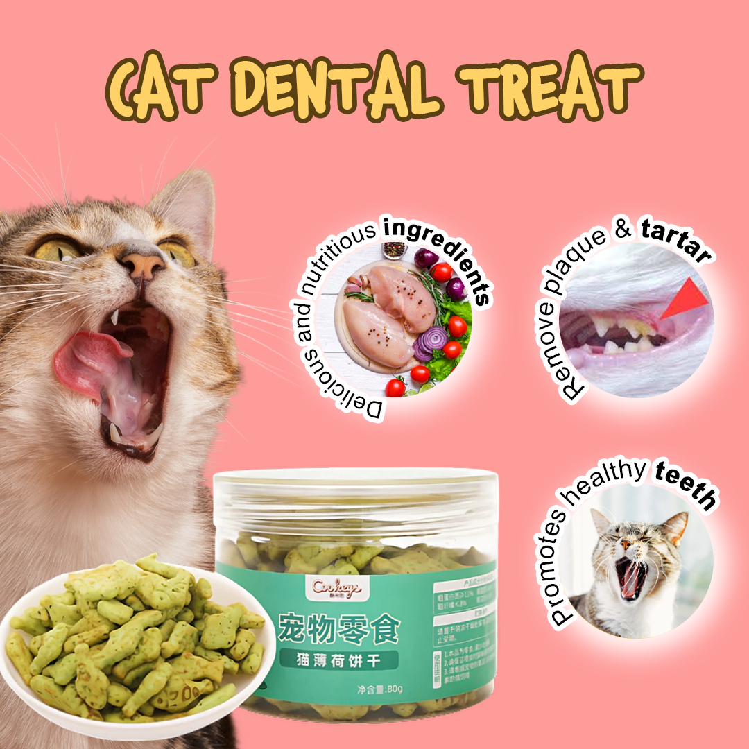 Treat Time Bundle