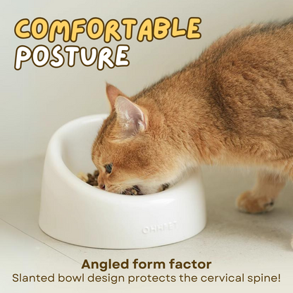 Ceramic Cat Bowl