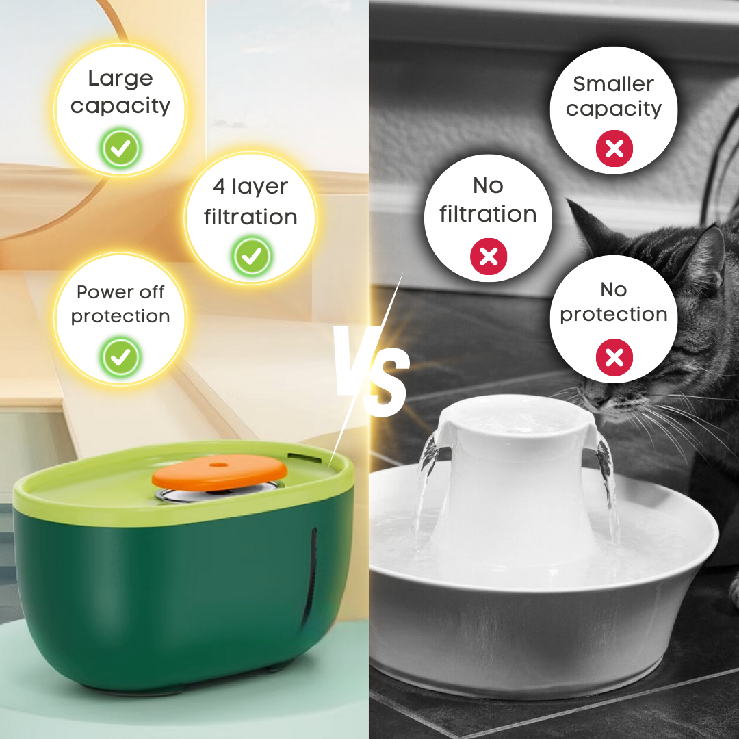 Avocado Water Fountain