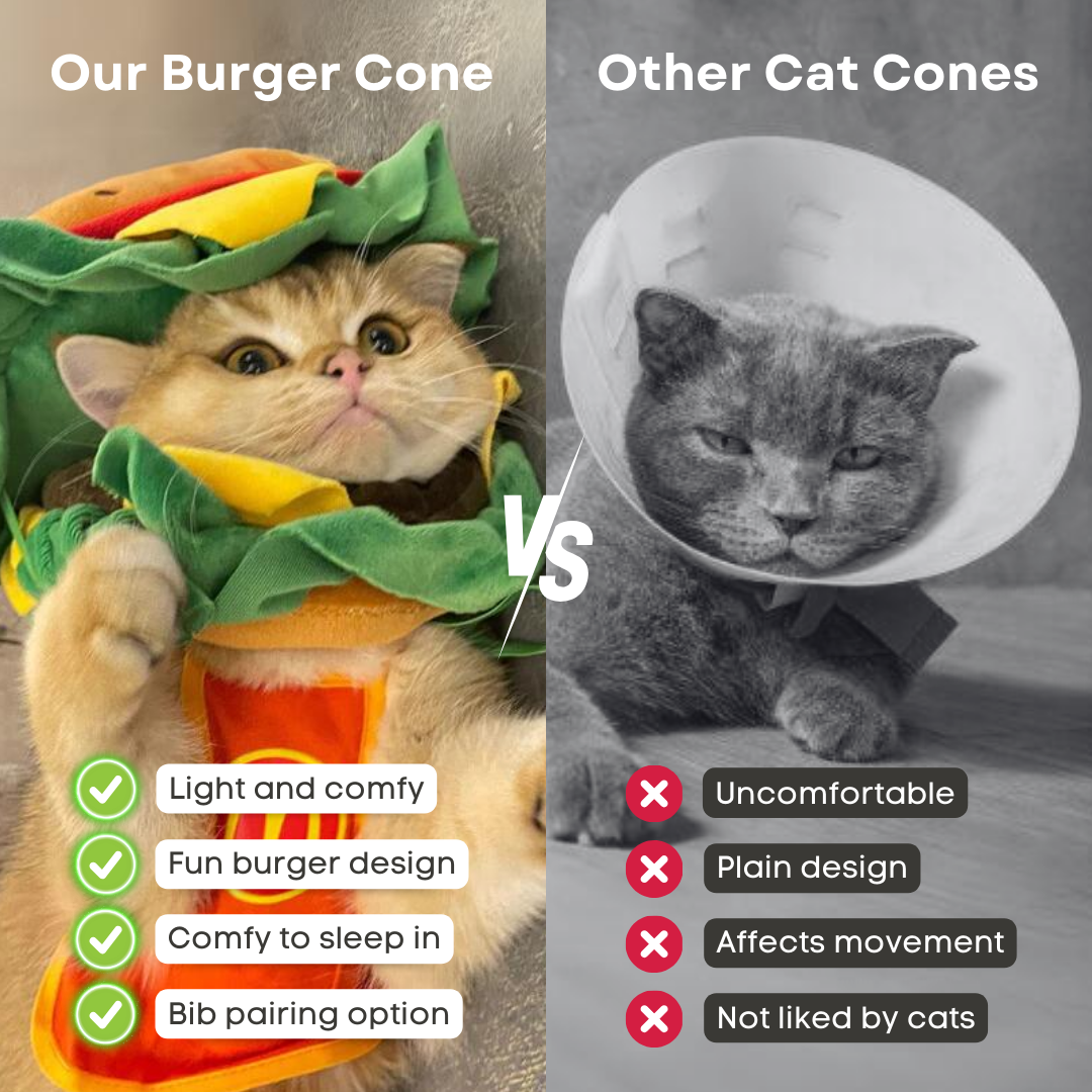 Cat Burger Cone