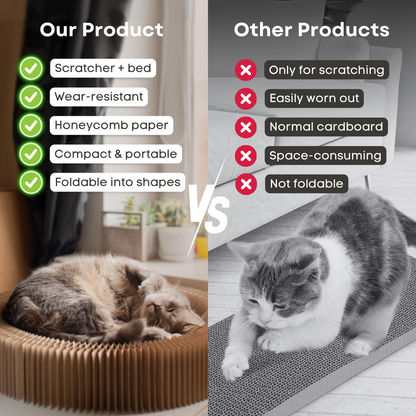 Magical Scratcher Bed