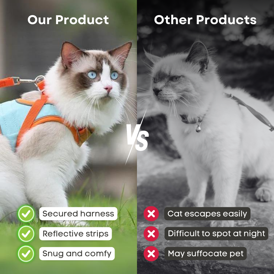 Cat Harness & Leash