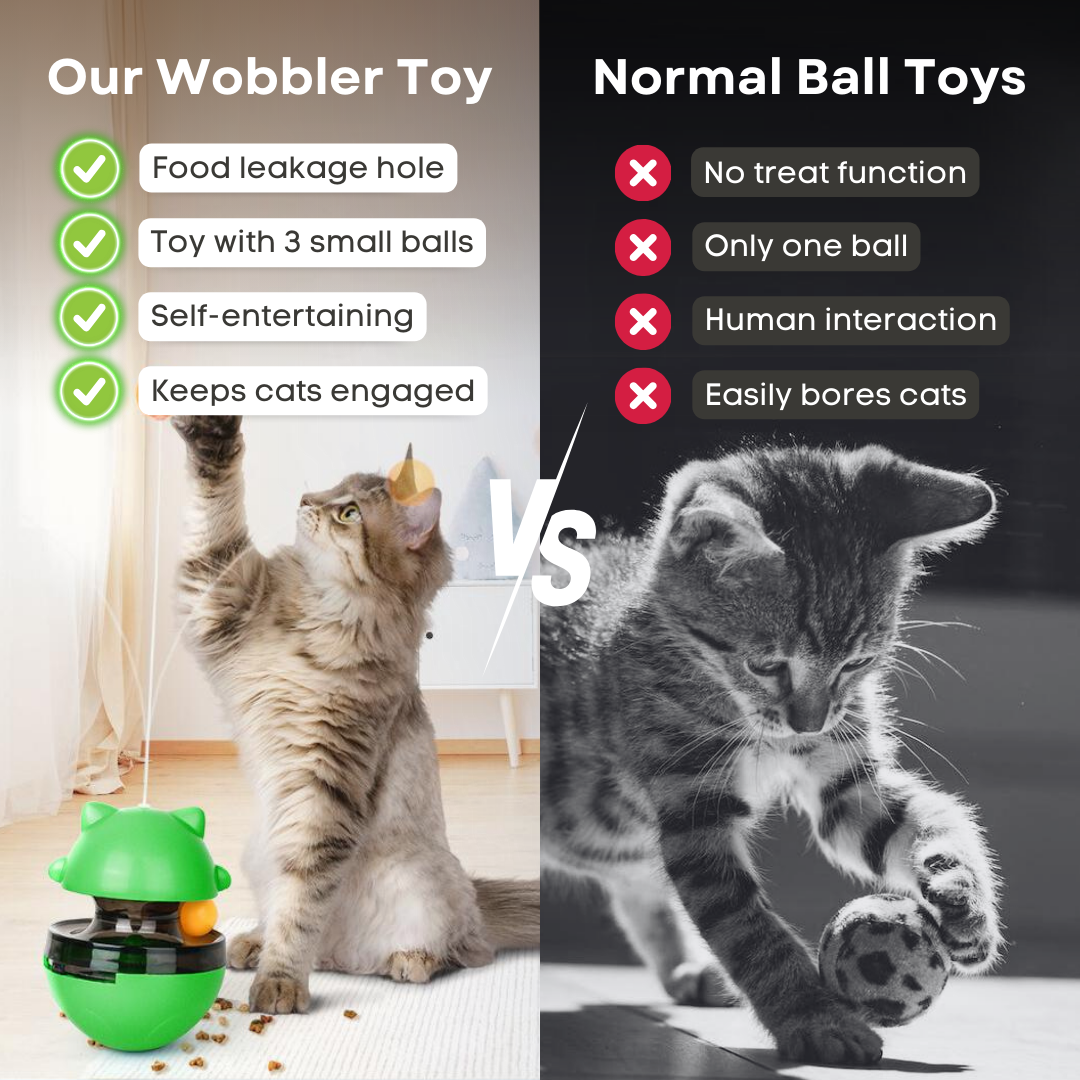 3-in-1 Wobbler Toy