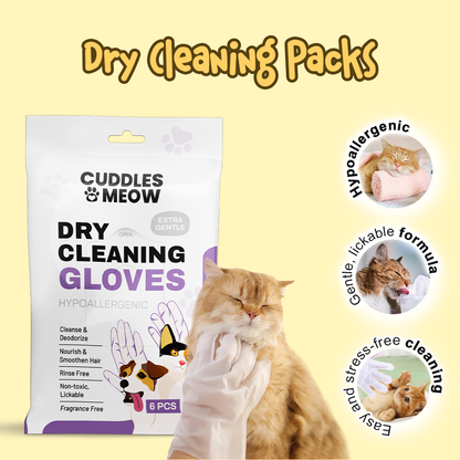 New Cat Owner Bundle