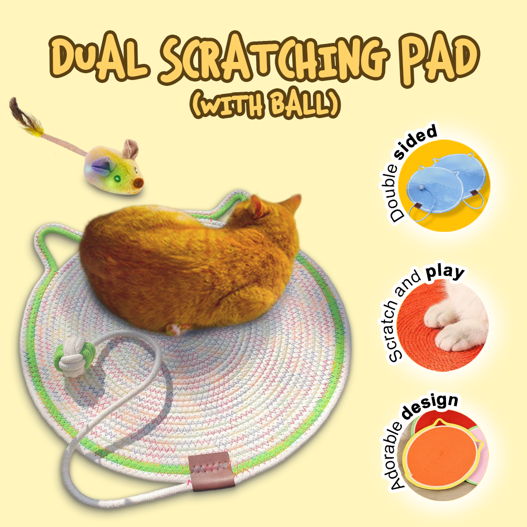 New Cat Owner Bundle