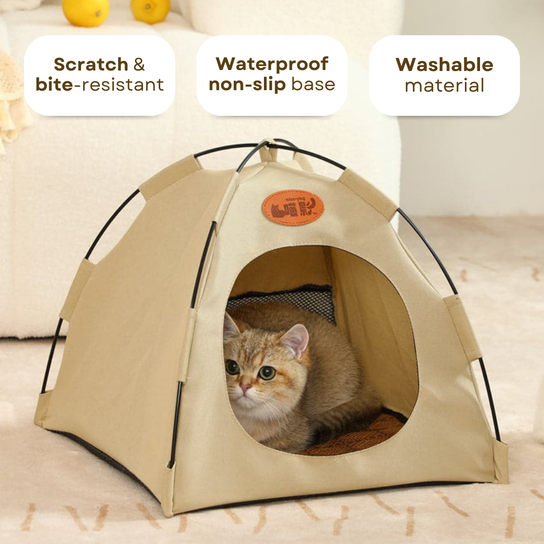 Cat Tent