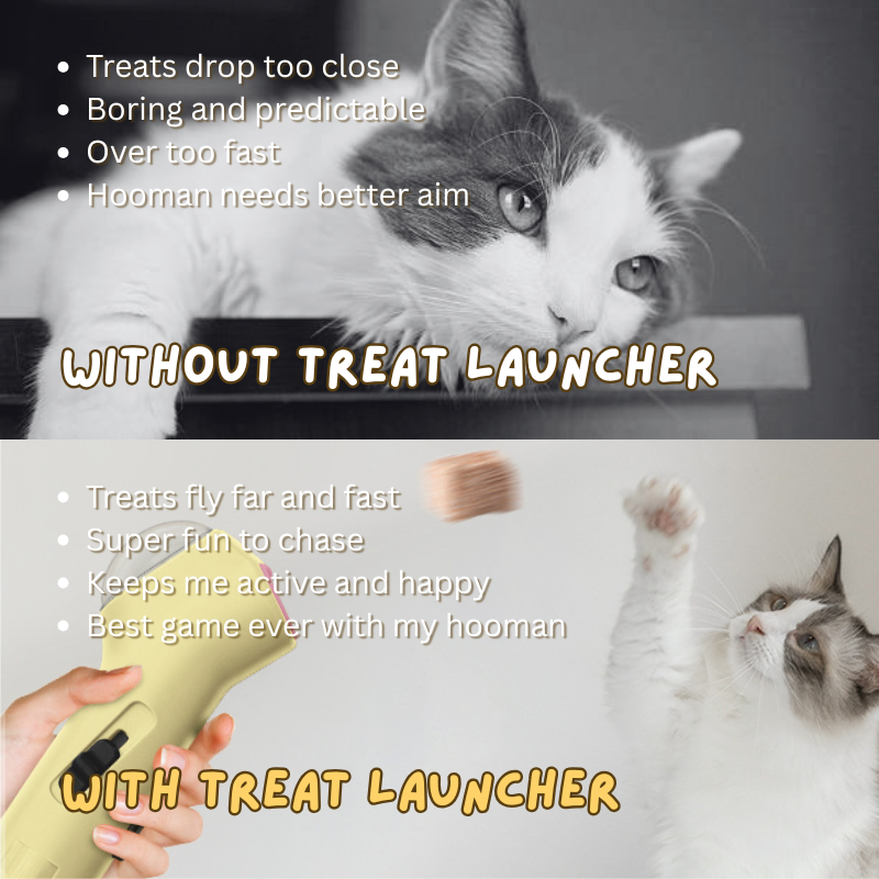 Treat Launcher