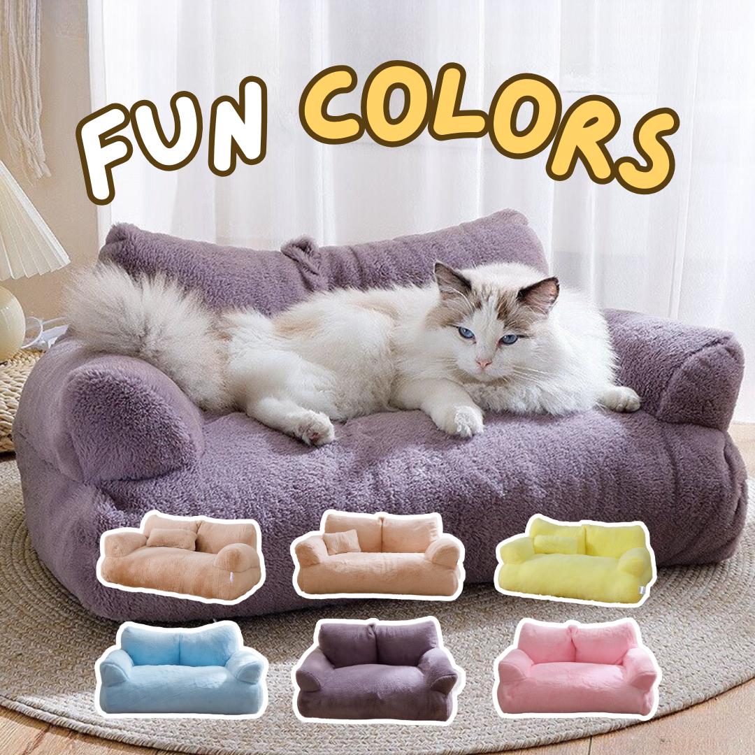 Sofa Bed