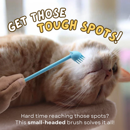 Purr Spot Brush