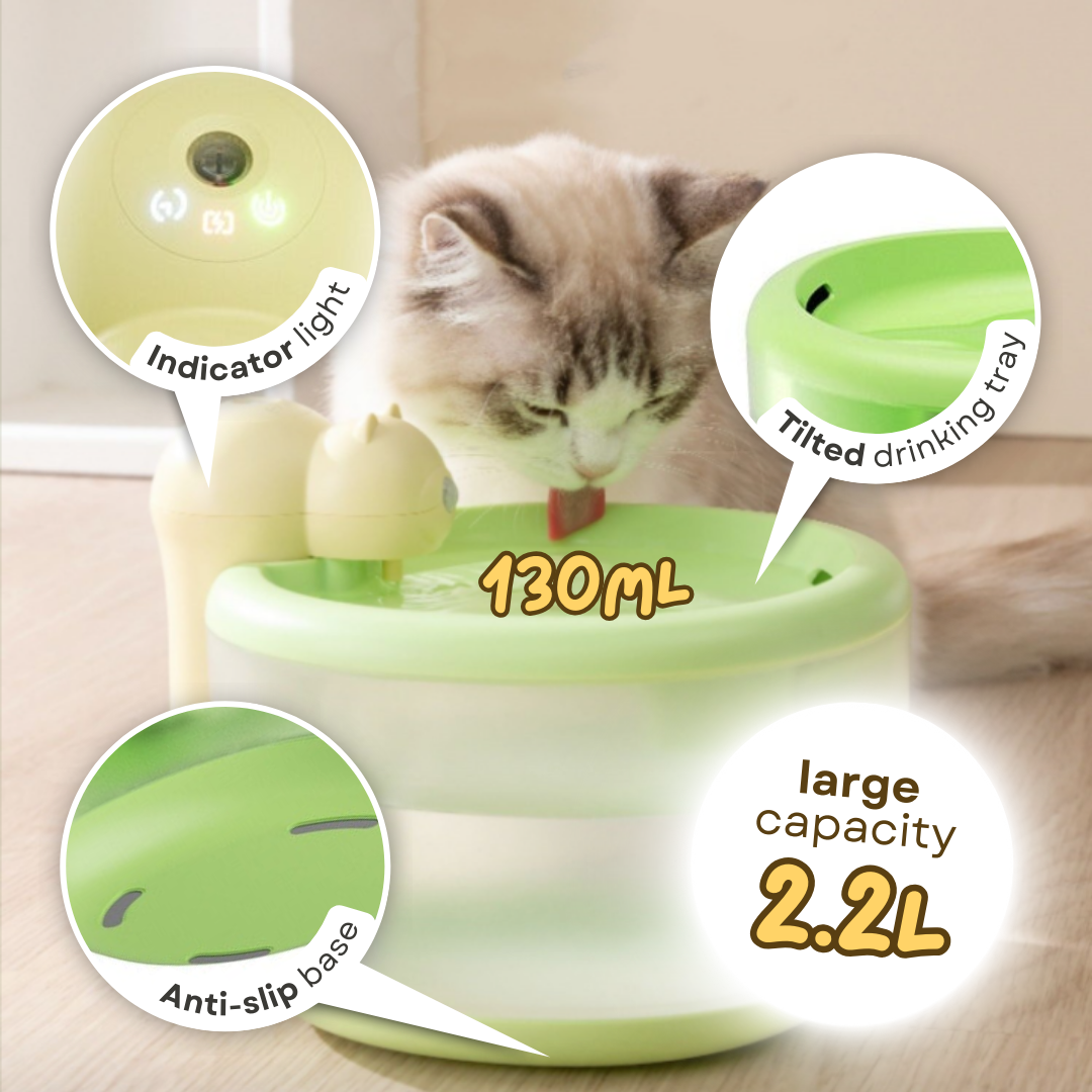 Tiny Bear Water Dispenser