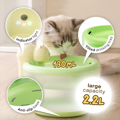 Tiny Bear Water Dispenser