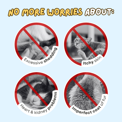 Fish Oil Puree Stick (15 Pcs)