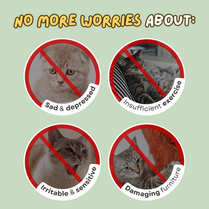 Chirping Ball (3-in-1)