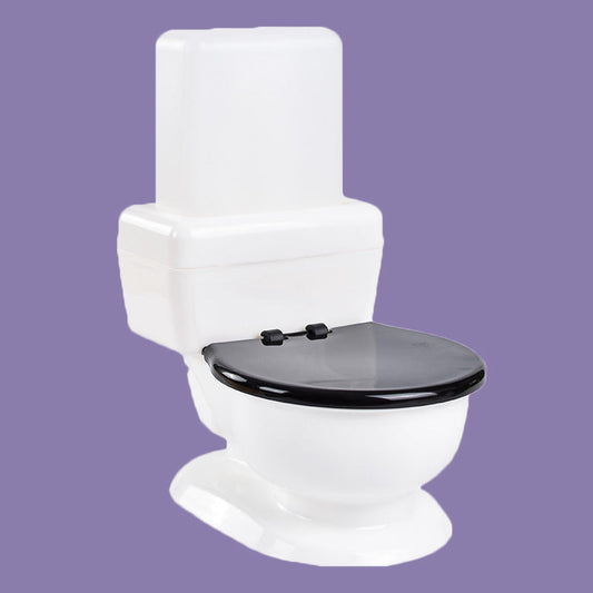 Toilet Bowl Water Feeder