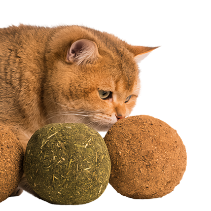 Jumbo Catnip Ball