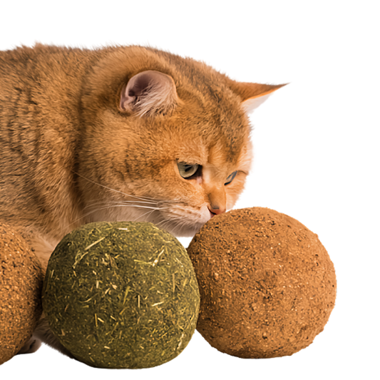 Jumbo Catnip Ball