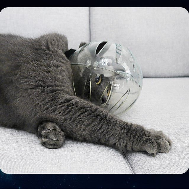 Cat Astronaut Muzzle