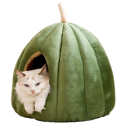 Pumpkin Cat Cave