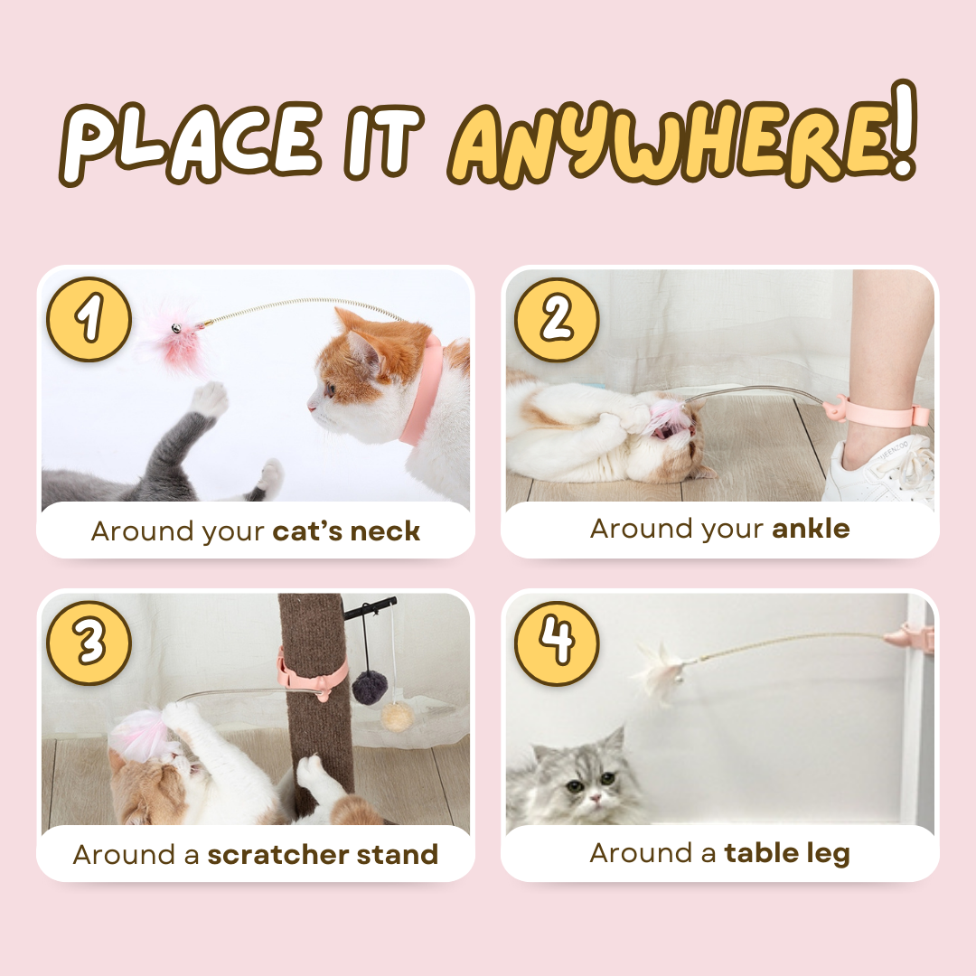 Cat Collar Toy
