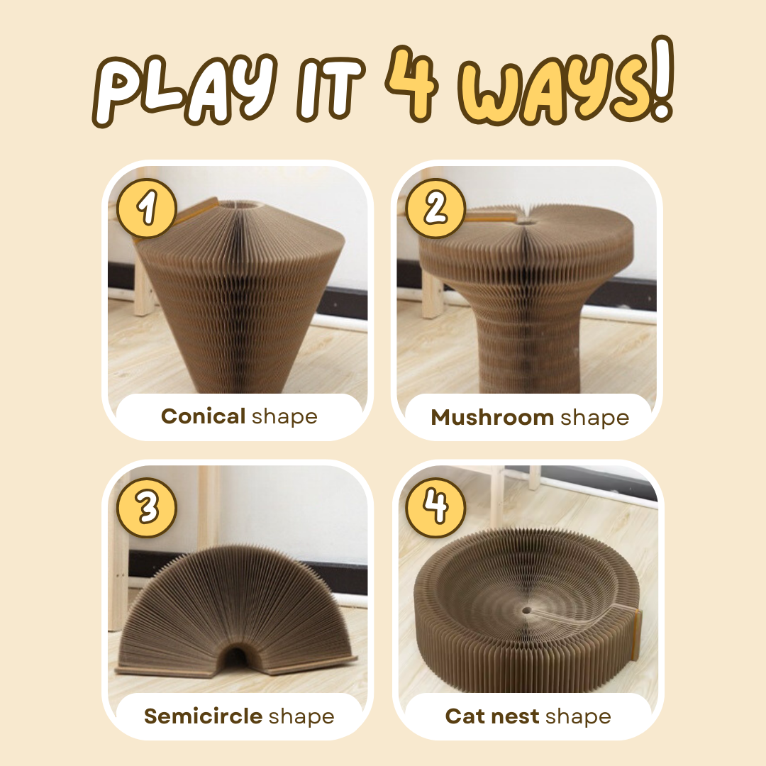 Magical Scratcher Bed