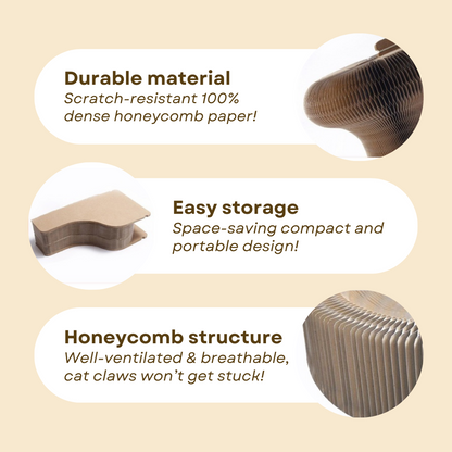 Magical Scratcher Bed